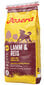 Josera erineva aktiivsusega koertele Lamb&Rice, 15 kg hind ja info | Kuivtoit koertele | kaup24.ee