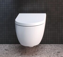 Подвесной унитаз Ideal Standard WC Blend Curve Aquablade с медленно открывающейся крышкой T374901 / T376001 цена и информация | Унитазы | kaup24.ee