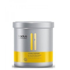 Intensiivne mask kahjustatud juustele Visible Repair Intensive Mask, 750ml hind ja info | Maskid, õlid, seerumid | kaup24.ee