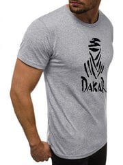 Мужская футболка Dakar JS/712005-43418-XXL, серая цена и информация | Мужские футболки | kaup24.ee