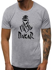 Meeste T-särk Dakar JS/712005-43418-XXL, hall цена и информация | Мужские футболки | kaup24.ee