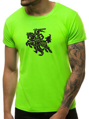 Мужская футболка Vytis JS/712005-43444-XXL, зеленая цена и информация | Мужские футболки | kaup24.ee