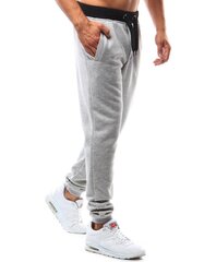 Штаны мужские светло-серые повседневные «Deren» цена и информация | Мужские брюки | kaup24.ee