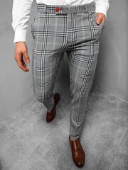 Мужские серые брюки Alono цена и информация | Мужские брюки | kaup24.ee