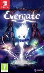 SWITCH Evergate цена и информация | Компьютерные игры | kaup24.ee