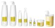 Elustav šampoon kuivadele juustele Lakme, 300 ml hind ja info | Šampoonid | kaup24.ee