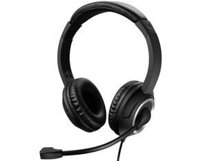 Sandberg 126-16 USB Chat Headset цена и информация | Наушники | kaup24.ee