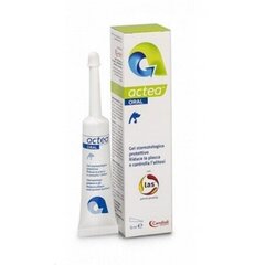 Candioli Actea®Oral 15 ml hambakaitsegeel hind ja info | Hooldusvahendid loomadele | kaup24.ee