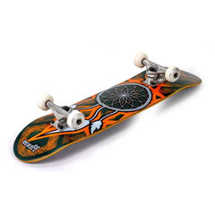 Rula Enuff Dreamcatcher Complete Teal/Orange 7.75" x 31.5" hind ja info | Rulad | kaup24.ee