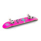 Rula Enuff Skully Complete Pink 7.75 x 31 hind ja info | Rulad | kaup24.ee