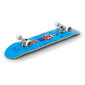 Rula Enuff Skully Complete Blue 7.75 x 31 hind ja info | Rulad | kaup24.ee