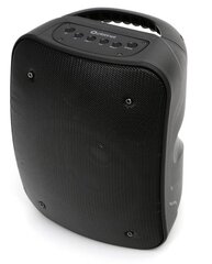 Аудиоколонка Platinet PMG255 20W Bluetooth 5.0 цена и информация | Аудио колонки | kaup24.ee