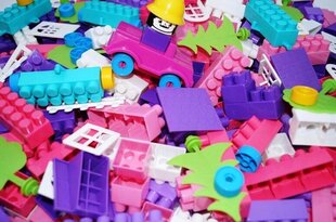 konstruktor tüdrukutele hind ja info | Arendavad mänguasjad | kaup24.ee