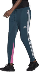 Adidas Брюки W Sp Lghtw Pant Green GL9537/S цена и информация | Мужские толстовки | kaup24.ee