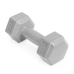 Fitness hantlikomplekt, 2 x 1 kg hind ja info | Hantlid, kangid, raskused | kaup24.ee