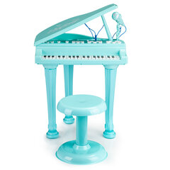 Mp3-mikrofoniga klaver hind ja info | Arendavad mänguasjad | kaup24.ee