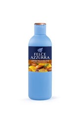 Dušigeel Felce Azzurra Amber & Argan, 650 ml kaina ir informacija | Dušigeelid, õlid | kaup24.ee