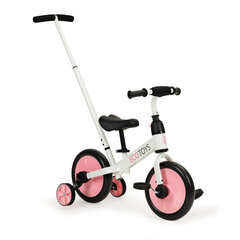 Балансировочный велосипед с педалями, боковыми колесами 3in1 Ecotoys цена и информация | Детский трехколесный велосипед - коляска с удобной ручкой управления для родителей Riff F95941 2в1, фиолетовый | kaup24.ee