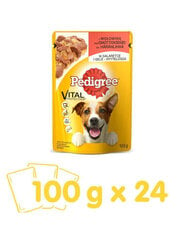 Pedigree koertele veiselihaga, 24x100 g hind ja info | Konservid koertele | kaup24.ee