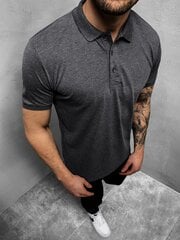 Мужская темно-серая рубашка поло "Zeber" цена и информация | Мужские футболки | kaup24.ee