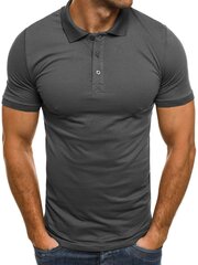 Мужская темно-серая рубашка поло "Zeber" цена и информация | Мужские футболки | kaup24.ee