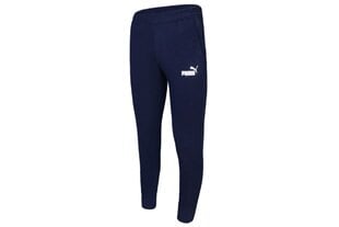 Спортивные штаны мужские Puma Essentials 586748-06, синие цена и информация | Мужская спортивная одежда | kaup24.ee
