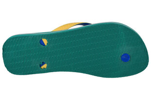 Тапочки мужские Havaianas Brasil Mix 4123206-2078, зеленые цена и информация | Мужские шлепанцы, босоножки | kaup24.ee