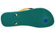 Meeste plätud Havaianas Brasil Mix 4123206-2078, roheline hind ja info | Meeste plätud, sussid | kaup24.ee