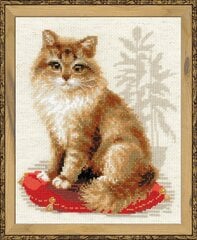 Набор для вышивания РИОЛИС 1525 Кошка домашняя цена и информация | Принадлежности для вышивания | kaup24.ee