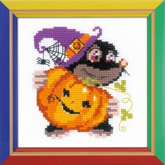 Tikkimiskomplekt RIOLIS HB173 Happy Halloween hind ja info | Tikkimistarvikud | kaup24.ee