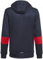 Adidas Džemprid Poiste jaoks B A.R. 3s Hoodie Navy GM8456/164 hind ja info | Poiste kampsunid, vestid ja jakid | kaup24.ee