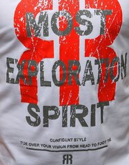 Мужская белая футболка "Spirit" цена и информация | Мужские футболки | kaup24.ee