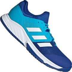 Кроссовки мужские Adidas Court Team Bounce M FU8320, синие цена и информация | Кроссовки для мужчин | kaup24.ee