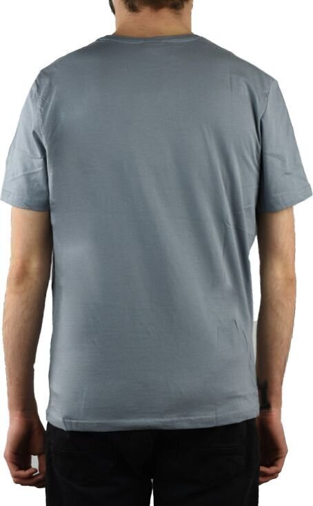 Meeste T-särk The North Face Simple Dome Tee TX5ZDK1, hall hind ja info | Meeste T-särgid | kaup24.ee