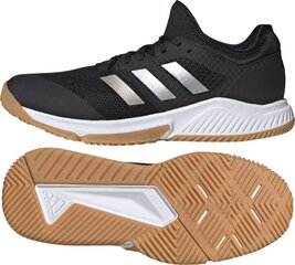 Спортивная обувь мужская Adidas Court Team Bounce EF2642, черная цена и информация | Кроссовки для мужчин | kaup24.ee