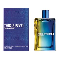 Meeste parfüüm This is Love Lui Zadig & Voltaire (100 ml) hind ja info | Meeste parfüümid | kaup24.ee