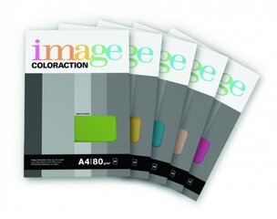 Цветная бумага Image Coloraction 93 A4, 80г, светло-серая (50) 0702-224 цена и информация | Тетради и бумажные товары | kaup24.ee