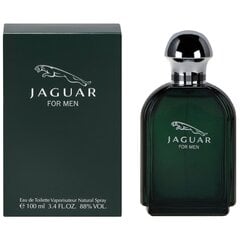 Jaguar Jaguar EDT meestele 100 ml hind ja info | Jaguar Kosmeetika, parfüümid | kaup24.ee