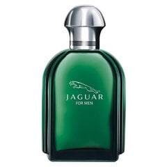 Jaguar Jaguar EDT для мужчин 100 мл цена и информация | Мужские духи | kaup24.ee