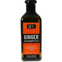 Шампунь против перхоти Xpel XHC Ginger Anti-Dandruff, 400 мл цена и информация | Шампуни | kaup24.ee