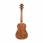 Soprano ukulele Stagg US-30 Spruce цена и информация | Kitarrid | kaup24.ee