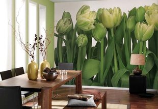 Фотообои Tulips цена и информация | Фотообои | kaup24.ee