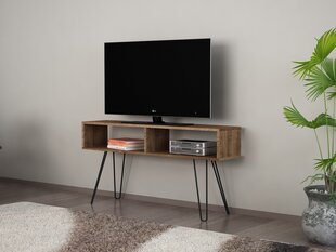 TV-laud Kalune Design 756, 120 cm, pruun hind ja info | TV alused | kaup24.ee