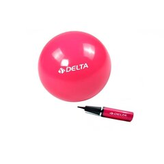 Võimlemispall Delta PMP15 Mini pumbaga, 25 cm, fuksia värvi hind ja info | Võimlemispallid | kaup24.ee