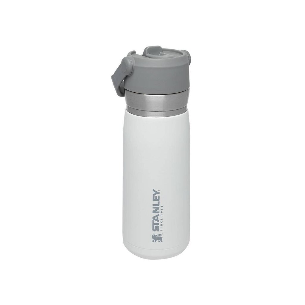 Kõrrega termospudel The IceFlow Flip Straw Water Bottle Go 0,65 l, valge hind ja info | Termosed, termostassid | kaup24.ee