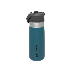 Kõrrega termospudel The IceFlow Flip Straw Water Bottle Go 0,65 l, laguunisinine hind ja info | Termosed, termostassid | kaup24.ee