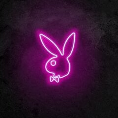 Настенный светильник Playboy цена и информация | Настенные светильники | kaup24.ee