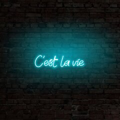 Настенный светильник C'est La Vie цена и информация | Настенные светильники | kaup24.ee