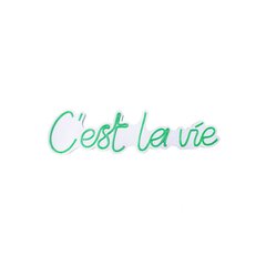 Настенный светильник C'est La Vie цена и информация | Настенный светильник Конусы | kaup24.ee