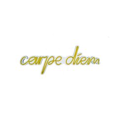 Настенный светильник Carpe Diem цена и информация | Настенные светильники | kaup24.ee